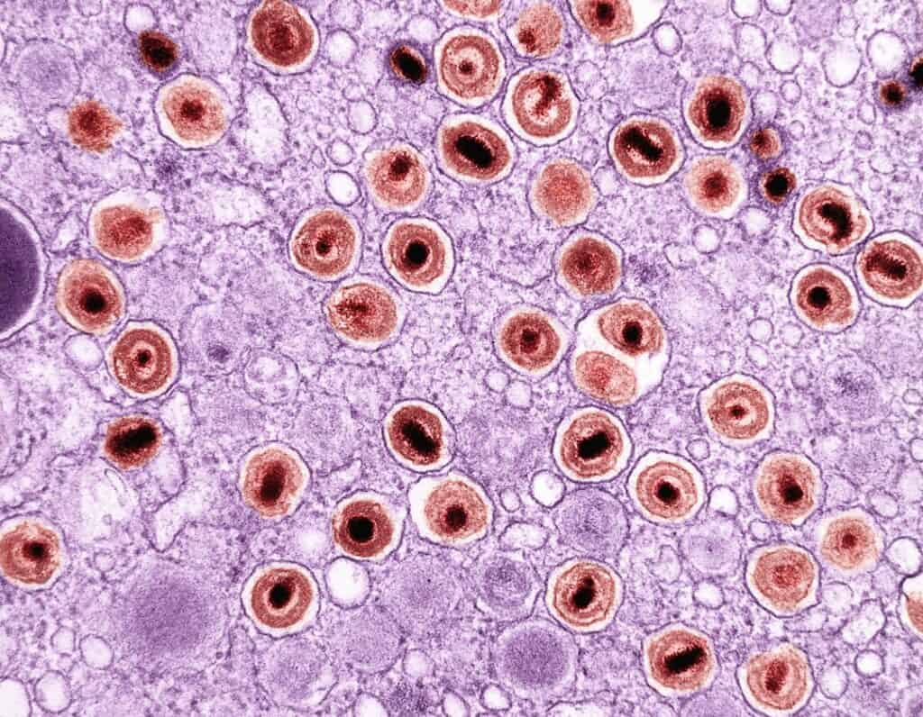 Microscopic view of cells, highlighting cellular health and diagnostics.